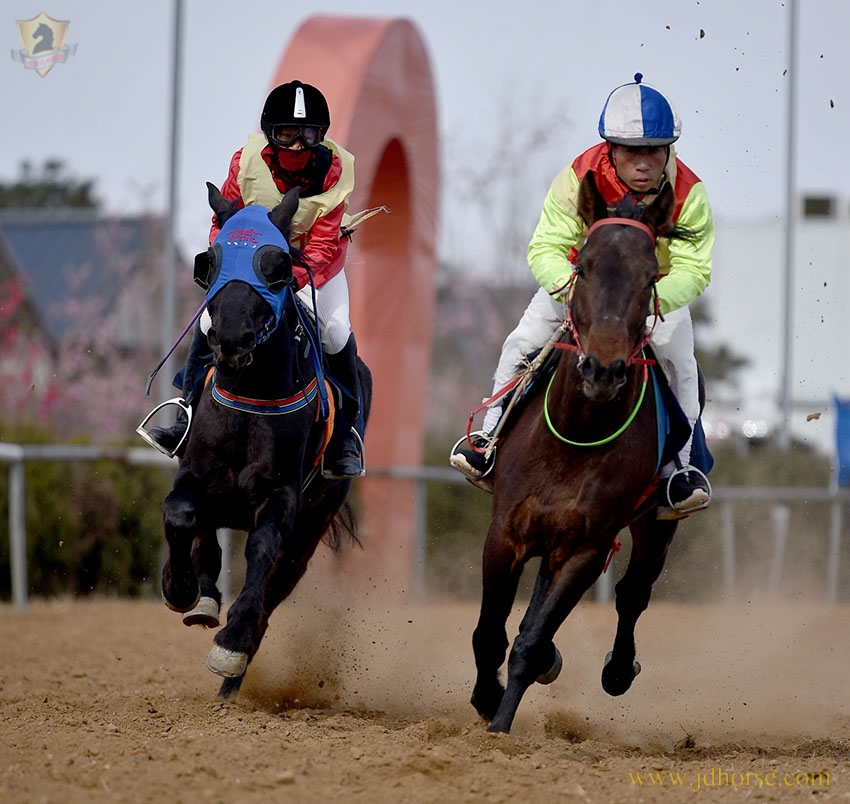 波多黎各男篮发挥出色晋级季军战 波多黎各男篮发挥出色晋级季军战