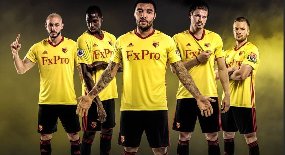 爱游戏网页版登录入口-南安普顿客场0-1不敌沃特福德，保级形势恶化的简单介绍